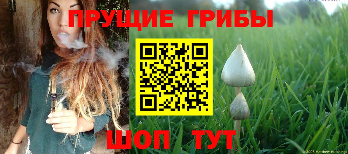 Псилоцибиновые грибы прущие грибы  Псилоцибиновые грибы мухоморы  Вход с VPN  Бор 